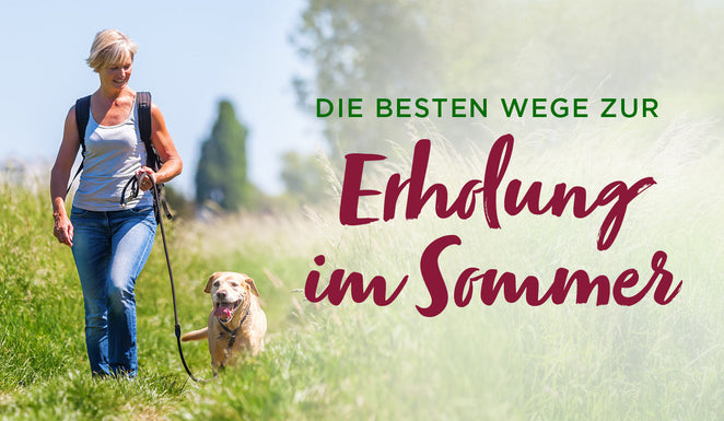 Die besten Wege zur Erholung im Sommer